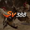 SV388 Cockfighting